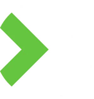 Icon Alternative Color